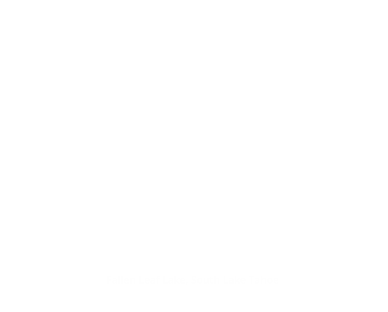 Gwen Luce